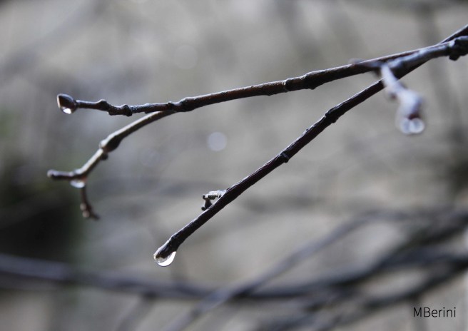 pingas-de-chuvia_firma