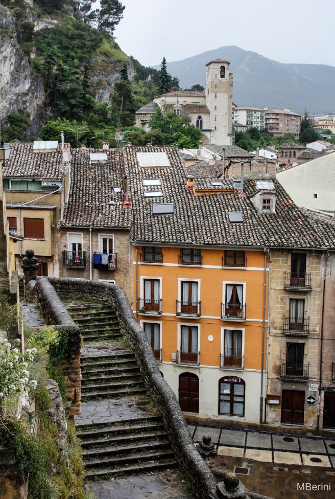 ESTELLAFRIO reducida