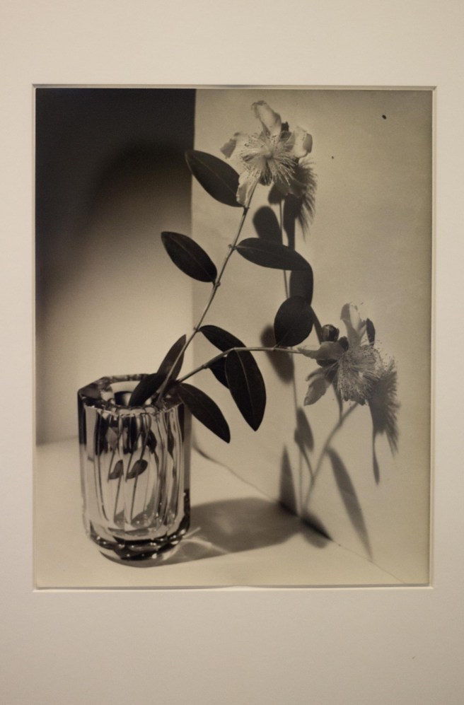 05102019-ANOZ FOTOGRAFA 2