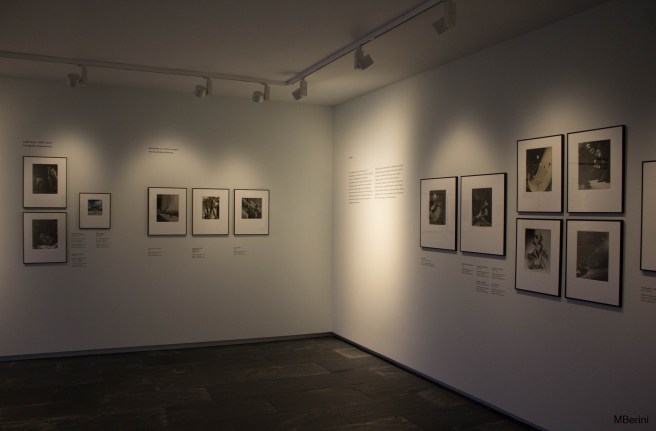 05102019-ANOZ FOTOGRAFA 5