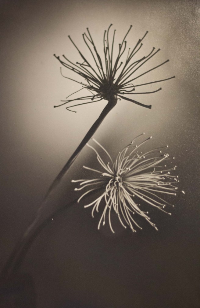 05102019-ANOZ FOTOGRAFA 3